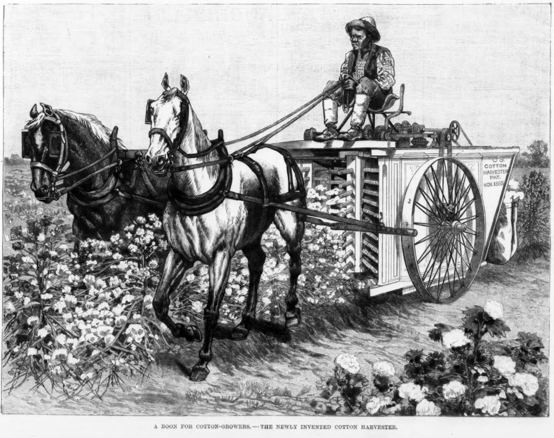 Cotton Harvester, 1886